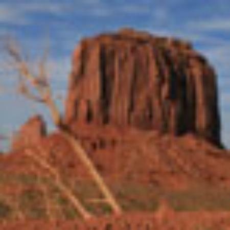 Dodu Sashimi Restaurant